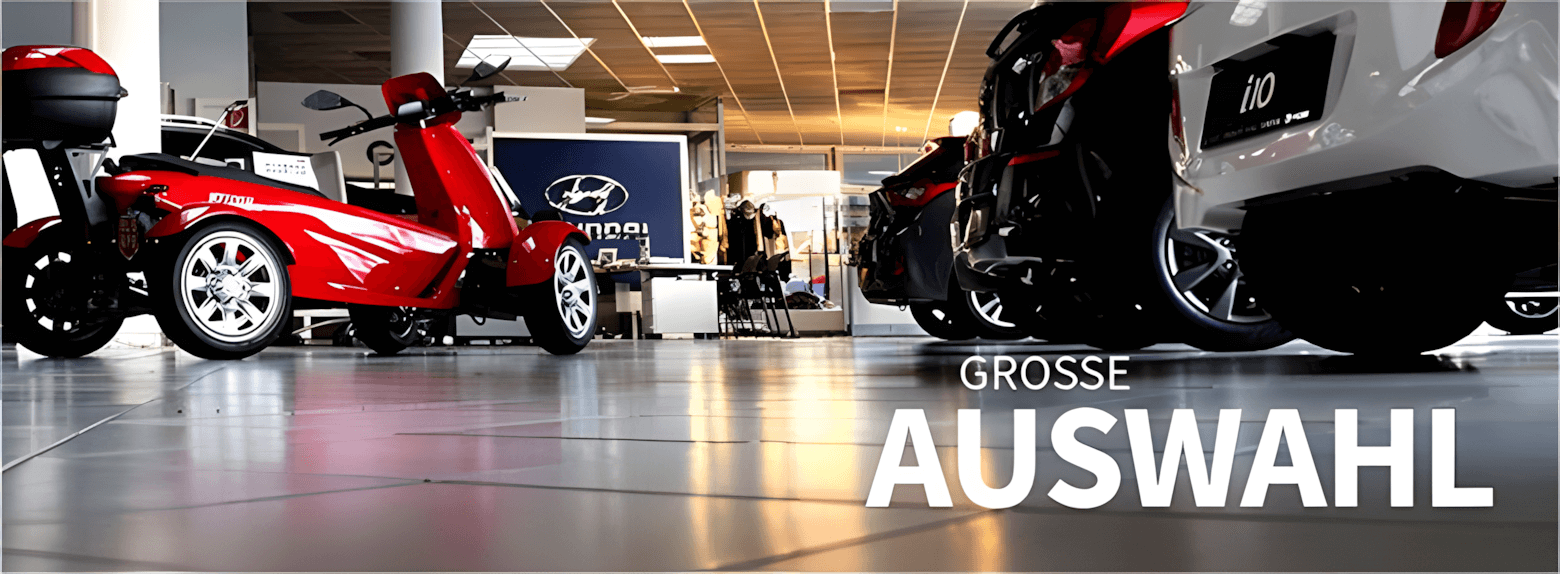 Oppitzhauser Schauraum mit Ausstellungesstücken