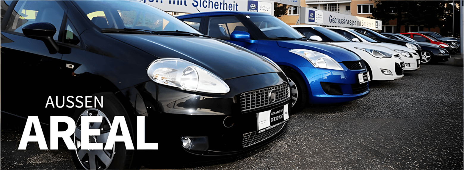 Oppitzhauser Aussenansicht mit verschiedenen Modellen von Hyundai